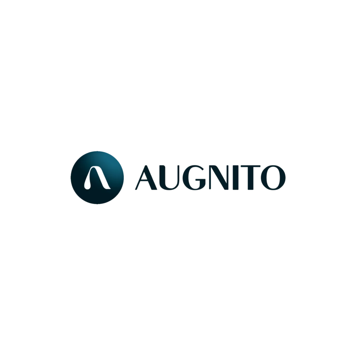 Augnito logo — organization where Chethan Kumar S has contributed CS and CX leadership