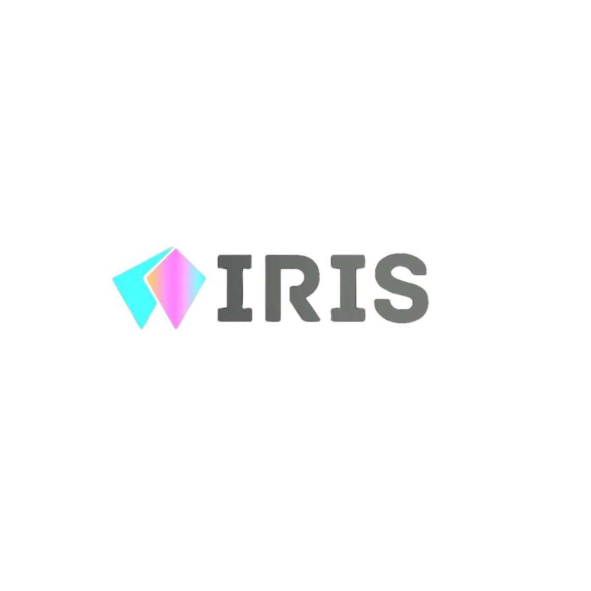 Iris Business Solutions logo — organization where Chethan Kumar S has contributed CS and CX leadership